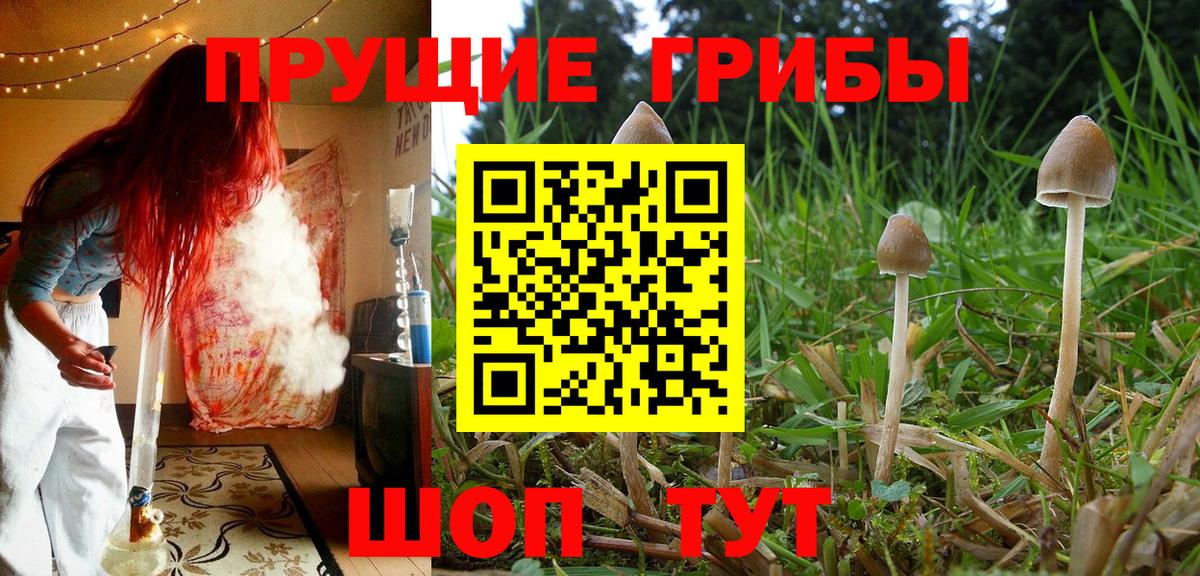 Галлюциногенные грибы мухоморы  Вход с VPN  Сунжа 