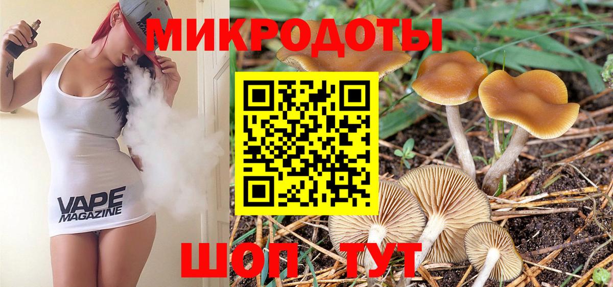 Псилоцибиновые грибы Psilocybine cubensis Сунжа